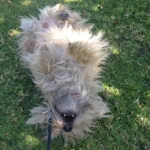 Meet your Posher, Mary kate